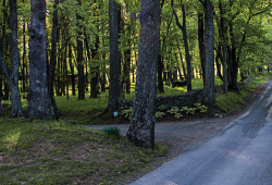 How to Find Affordable Senior Housing Near You